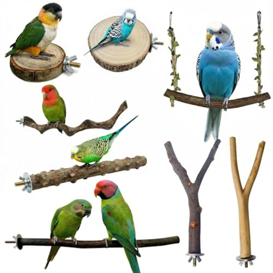 8PCS natural wood bird perches - Health & Wellness Events review and price