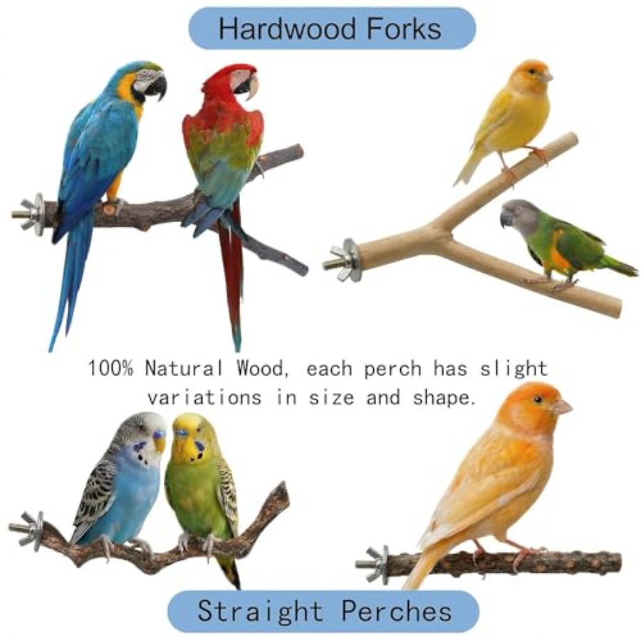 8PCS natural wood bird perches - Health & Wellness Events review and price
